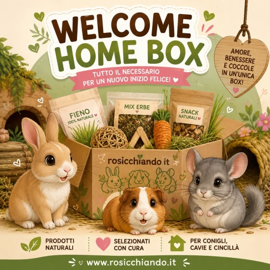 Welcome Bundle