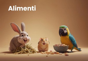 Alimenti 