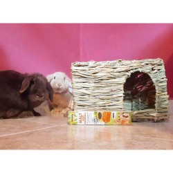Casetta Grass Hideaway  L
