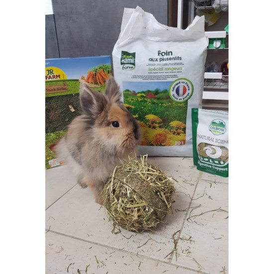 Pallina Jr Farm Meadow Hay Ball mangime complementare