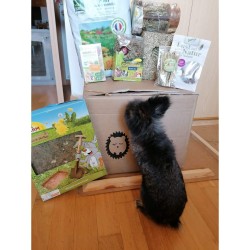 Cubo di fieno JR FARM con fiori 450gr mangime complementare
