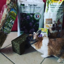 Fieno Hamiform bio con Erba Medica e Mazzolina 20 L alimento complementare