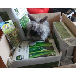 Fieno Hamiform foin bio 20 L alimento complementare PROMO QUANTITA'
