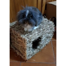 Casetta Grass Square XL Kerbl