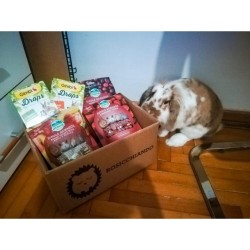 Gimbi Drops con Tarassaco 50gr mangime complementare PROMO QUANTITA'