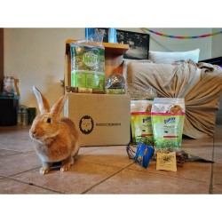 Palla Jr Farm willow hay ball mangime complementare Palla Jr Farm willow hay ball mangime complementare