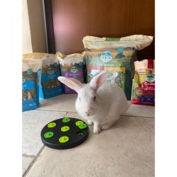 Oxbow Bunny Basic T - Adult Rabbit Food - 2,27 kg alimento complementare PROMO