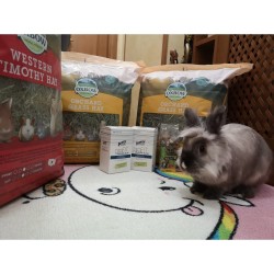 Fieno Oxbow - Western Timothy Hay - 2,550 kg mangime semplice per conigli e roditori PROMO Q.TA'