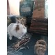 Fieno Bunny Super Premium Bio 1,7 kg mangime composto