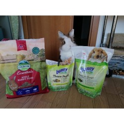 Oxbow Bunny Basic T - Adult Rabbit Food - 11,33 kg alimento complementare per conigli adulti