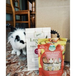 Oxbow Simple Rewards - Baked Treats with Apple & Banana  - 85 gr alimento complementare PROMO