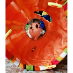 Tunnel "Crunchy Tunnel"  25 x 60cm PROMO