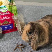 Acquista i migliori Alimenti per Coniglio - Rosicchiando
