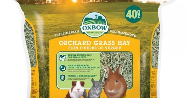 Oxbow Fieno Orchard Grass