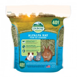 Fieno Oxbow di erba medica - Alfalfa Hay - 1,130 kg mangime semplice per conigli e roditori 