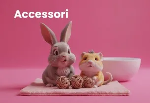 Accessori
