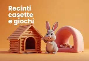 Recinti Casette e Giochi