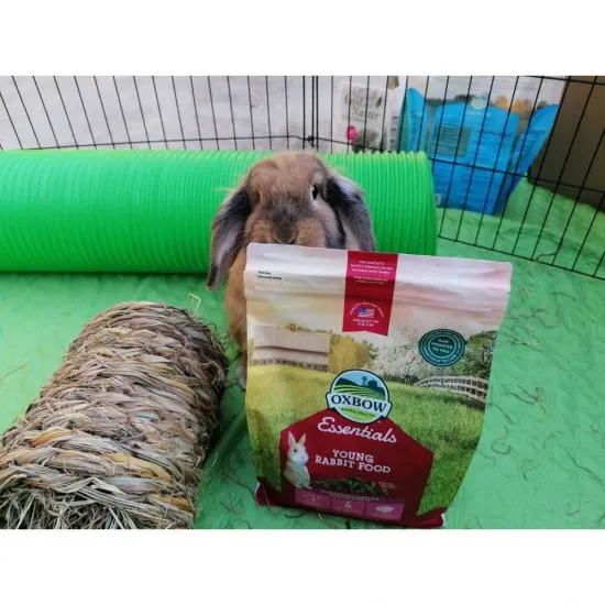 Oxbow Bunny Basics  - Young Rabbit Food - 2,27 kg alimento complementare per conigli giovani FINO 11,90€