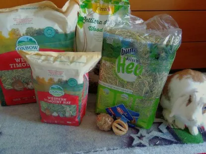 Alimentazione del coniglio