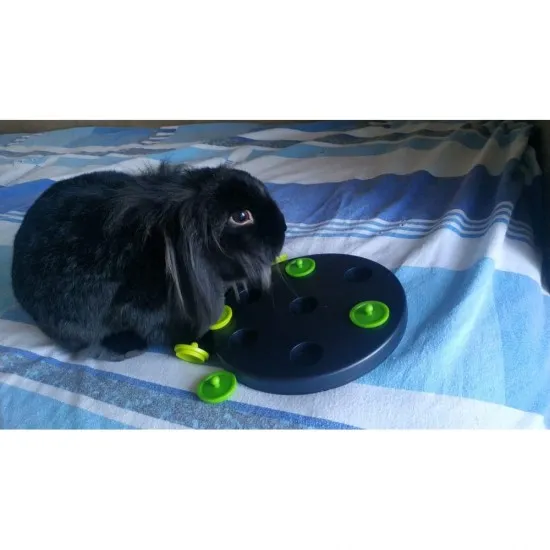 Snack Board per Conigli Trixie, in plastica diam. 20cm SOLO 9,90€ POCHI PEZZI