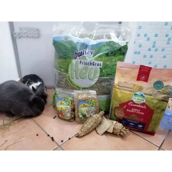 Fieno Bunny 3 kg mangime composto