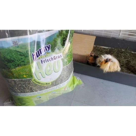 Fieno Bunny 3 kg mangime composto