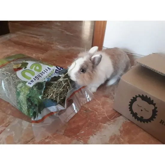 Fieno Bunny con Mele 500gr mangime composto PROMO QUANTITA'