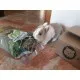Fieno Bunny con Mele 500gr mangime composto PROMO QUANTITA'