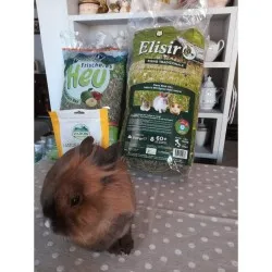 Fieno Elisir Tradizionale Bio 60+ 600gr (L'unico BIO originale di alta montagna) PROMO Q.TA'
