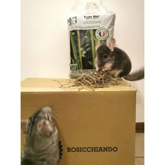 Fieno Hamiform foin bio 20 L alimento complementare PROMO QUANTITA'