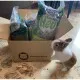 Fieno Bunny con Camomilla 500gr mangime composto PROMO QUANTITA'