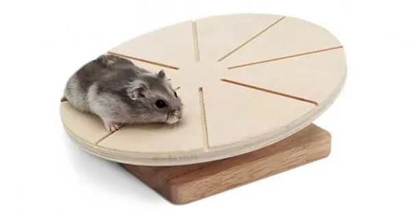 Ruota Per Criceti Silenziosa 22 Cm QWORK - Acrilico Trasparente, Supporto Regolabile, Antiscivolo