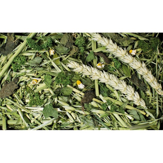 JR FARM orto delle erbe aromatiche mangime complementare 500 gr NEW