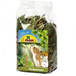 Jr Farm Forest Secret 100 gr mangime complementare