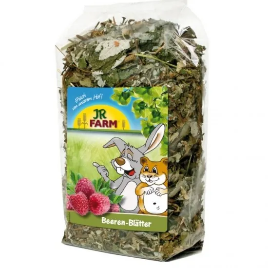 Jr Farm Foglie di Frutti di Bosco 100gr mangime complementare