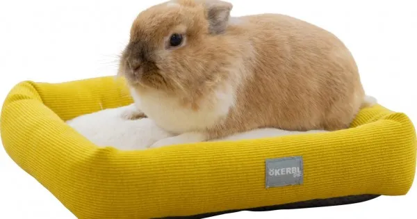 Coperta In Pile Per Coniglietti E Animali Domestici - Motivo Elefante, 72x51 Cm, Lavabile A 30°C