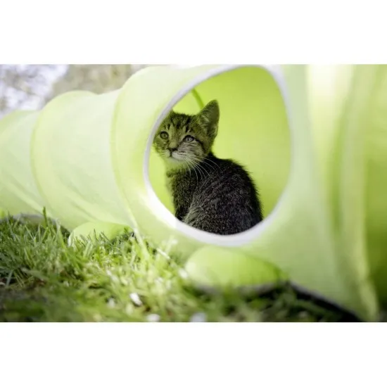 Tunnel per Gatti Raupe Kerbl 30 x 170 cm 