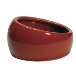 Ciotola in Terracotta - Large Living World