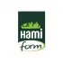 Hamiform