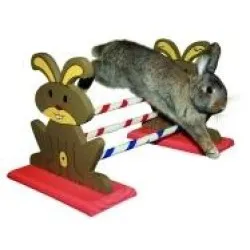 Rabbit Agility Ostacoli Kerbl