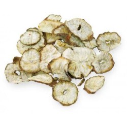 Chips di Radice di Cicoria essiccata Jr Farm 100gr mangime complementare Chips di Radice di Cicoria essiccata Jr Farm 100gr mangime complementare