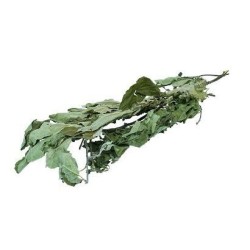 Jr Farm Ramoscelli e Foglie di Melo 40gr mangime complementare SOLO 1,99€ !! Jr Farm Ramoscelli e Foglie di Melo 40gr mangime complementare SOLO 1,99€ !!