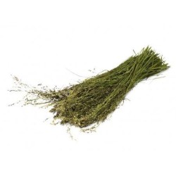 Jr Farm Raccolta di Erbe Selvatiche 80gr mangime complementare Jr Farm Raccolta di Erbe Selvatiche 80gr mangime complementare