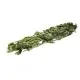 Jr Farm Raccolta di Ortica 40gr mangime complementare
