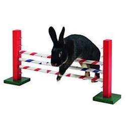 Rabbit Agility Upright Jump 70 x 5 x 35cm