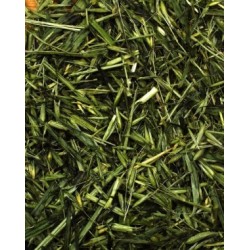 Jr Farm Avena Verde 100gr mangime complementare SOLO 2,90€