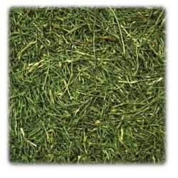 Jr Farm Gambi di Prezzemolo 150gr mangime complementare