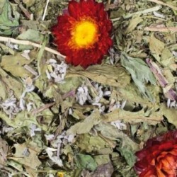 Jr Farm Grainless con Salvia e Dente di Leone 100gr mangime complementare