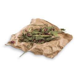 All Nature Botanicals MID MIX di Plantago Lanceolata e Fiori di Rosa Bunny mangime complementare