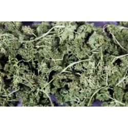 Jr Farm Prezzemolo 50gr mangime complementare SOLO 2,99€